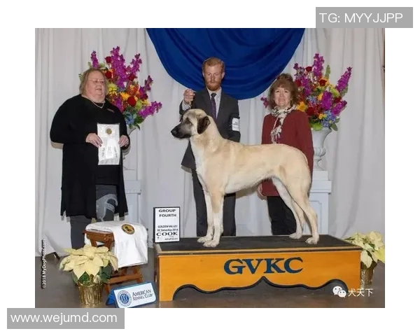 厄德高引领新风潮助力球队崛起展现年轻球员的无限潜力与激情